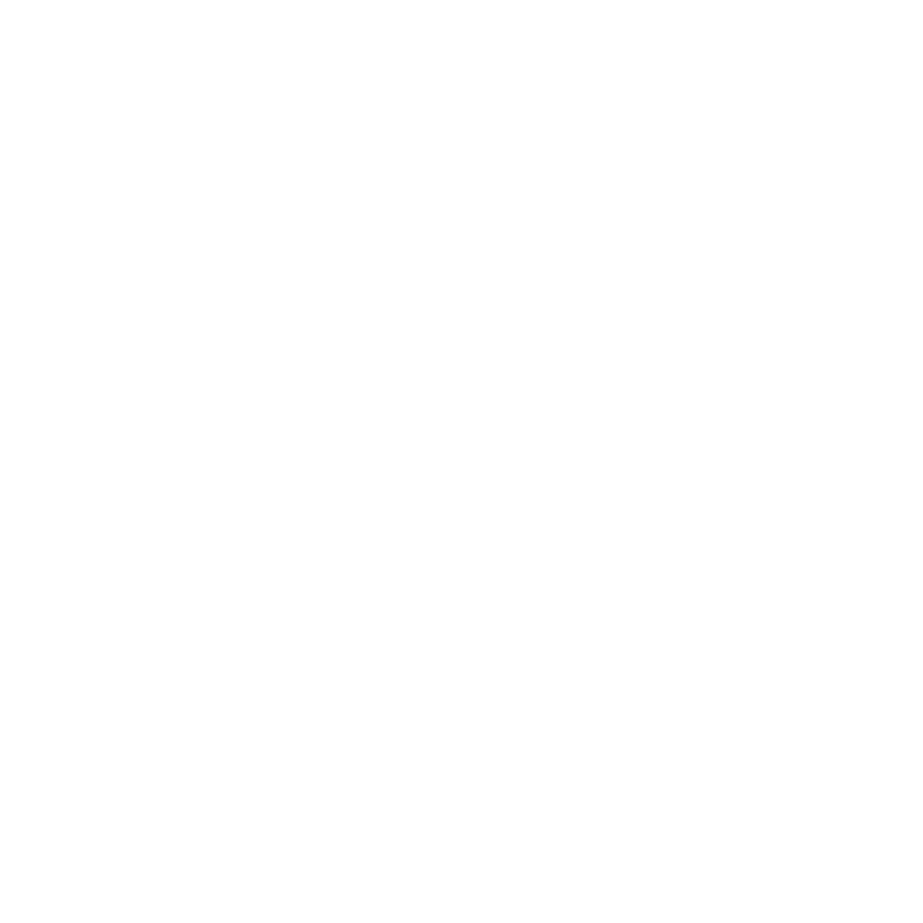 Microsoft Partner