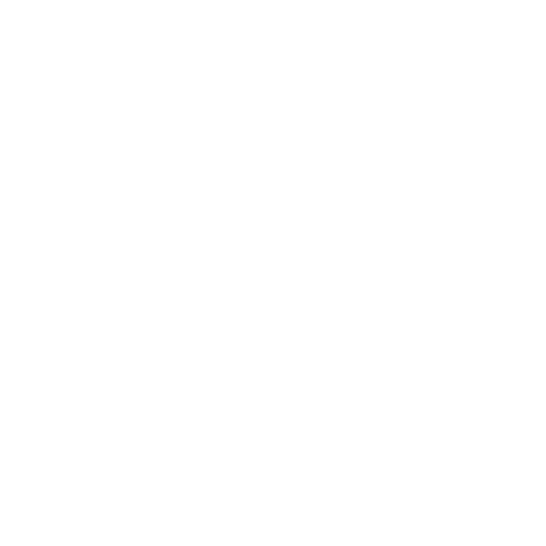 Lenovo Partner